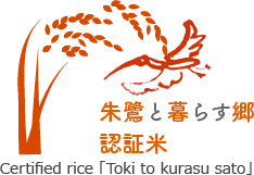 新潟県佐渡市公式ホームページ