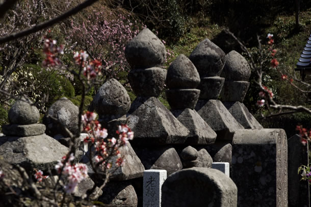 法輪寺