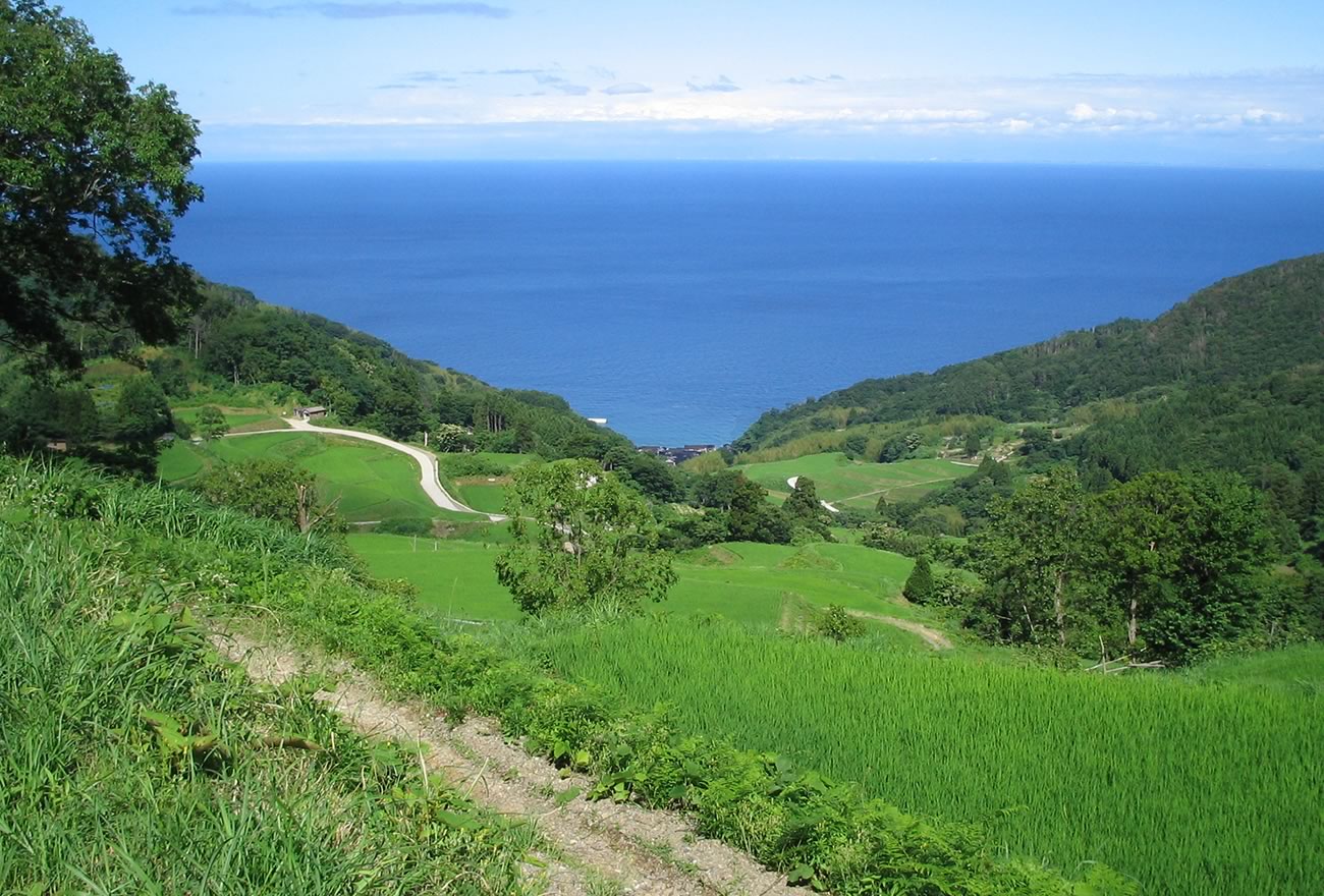 夏の佐渡島の画像1