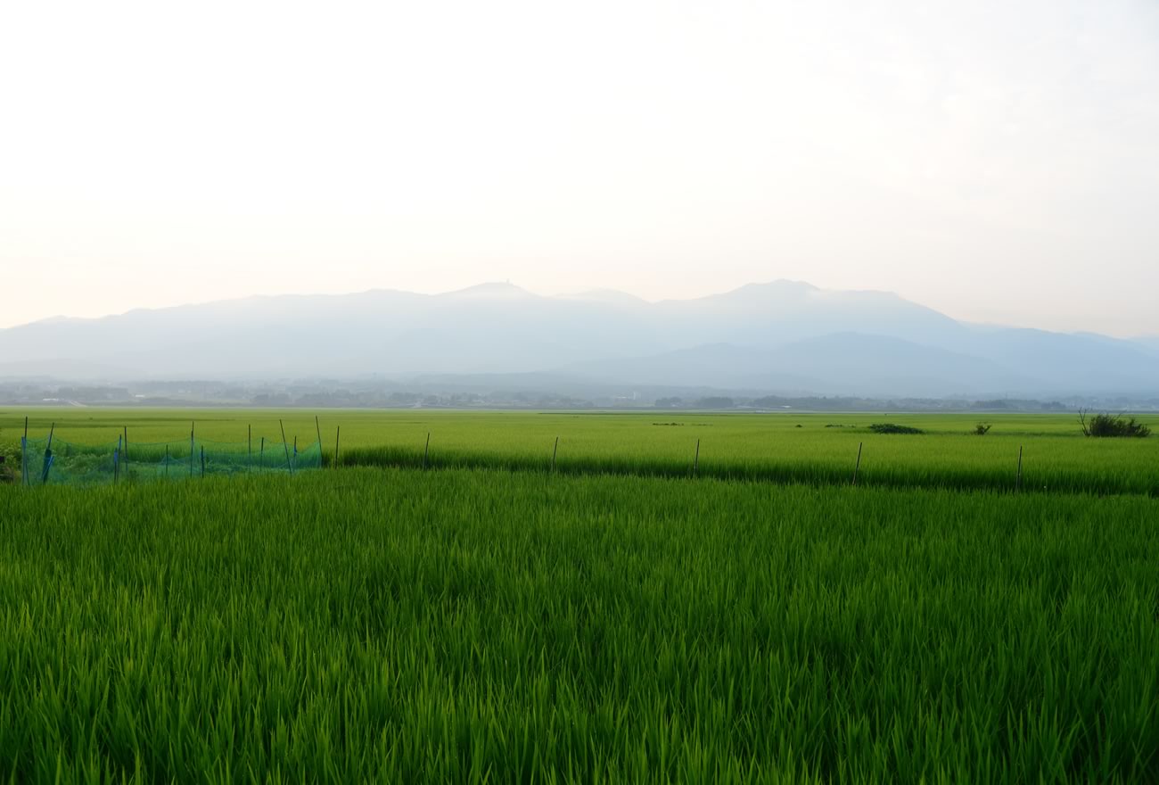 夏の佐渡島の画像3