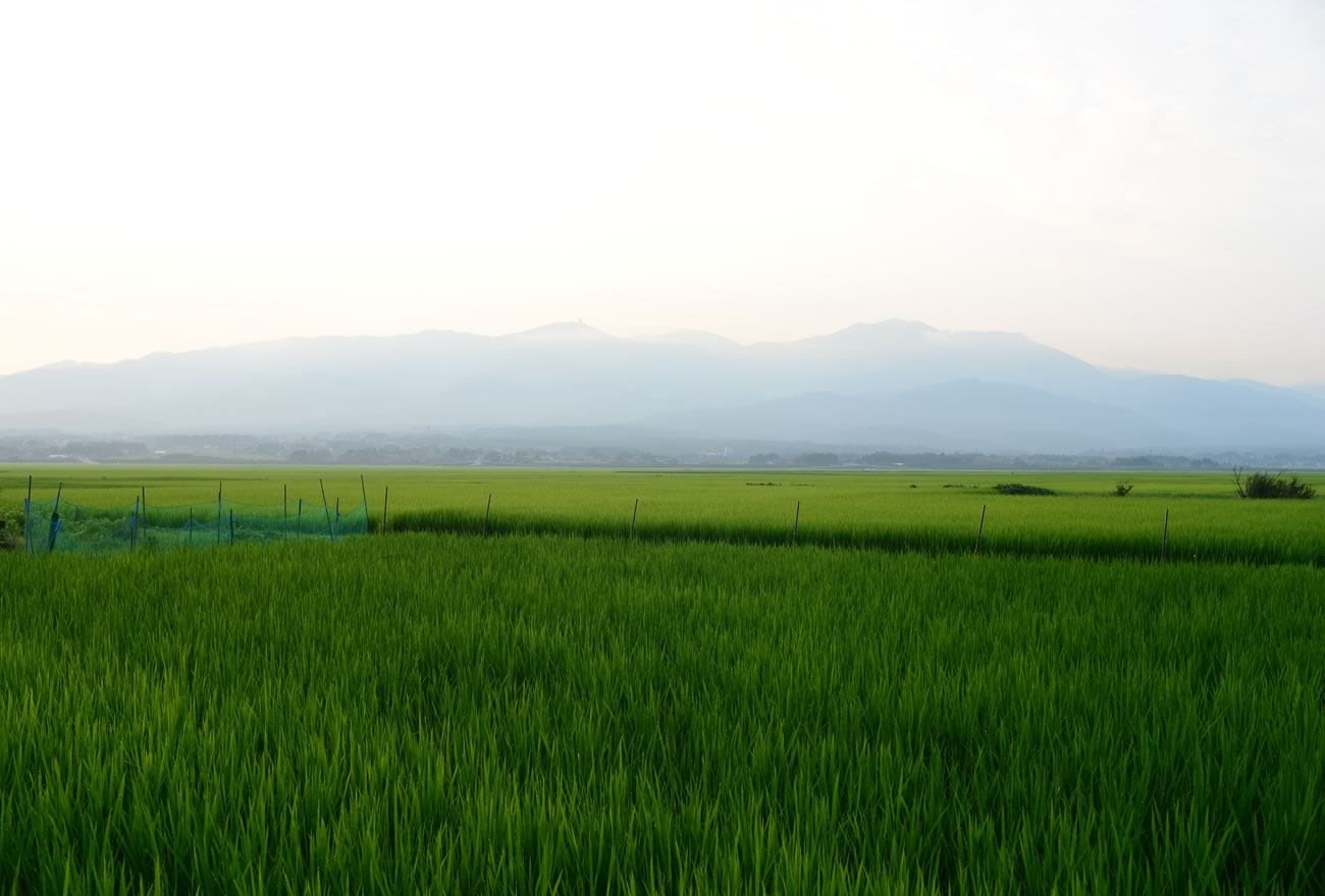 夏の佐渡島の画像3