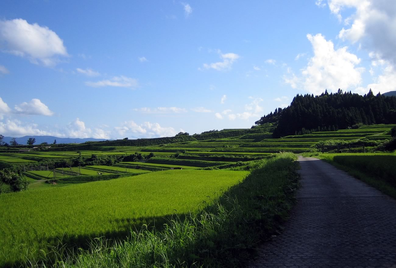 佐渡一周：里と山を歩くの画像9