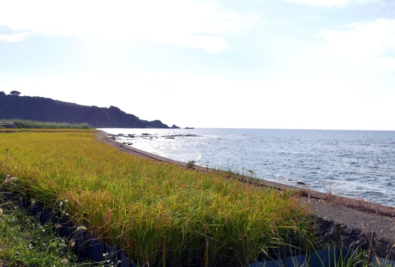 秋の佐渡島の画像8