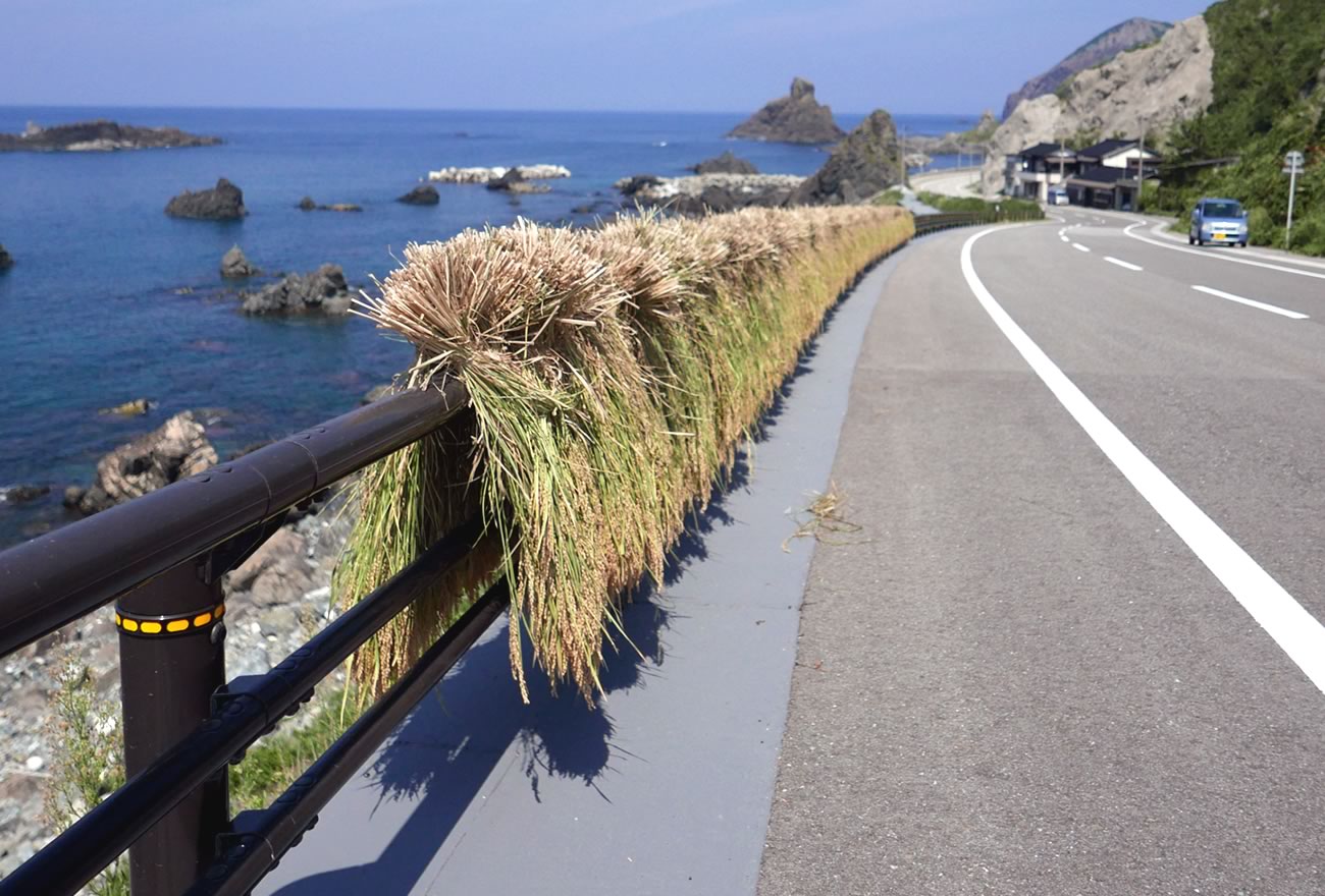 秋の佐渡島の画像9