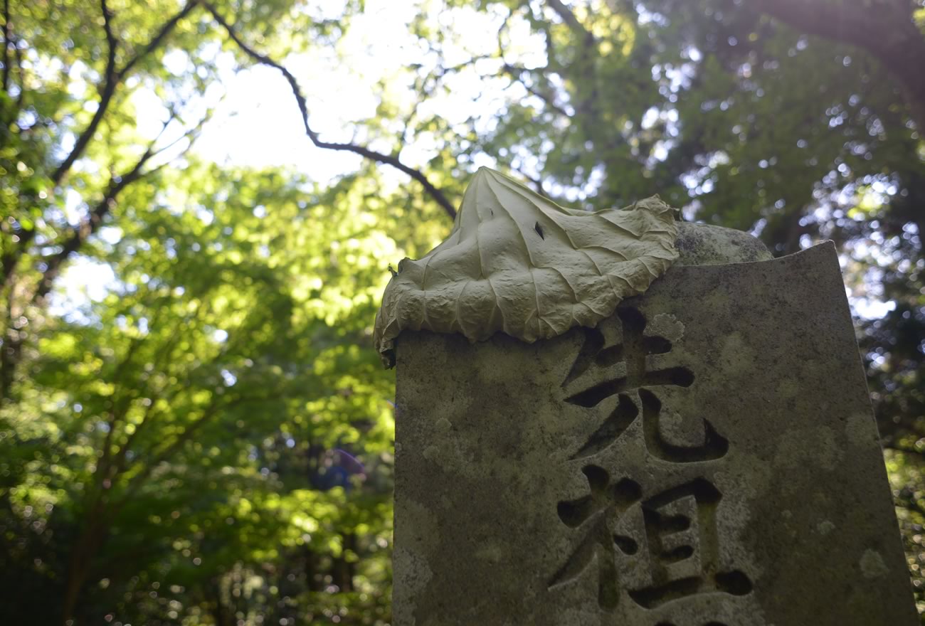 夏の佐渡島の画像26