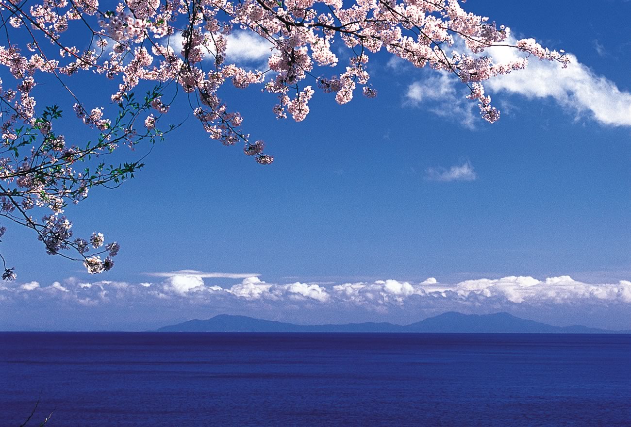 春の佐渡島の画像1