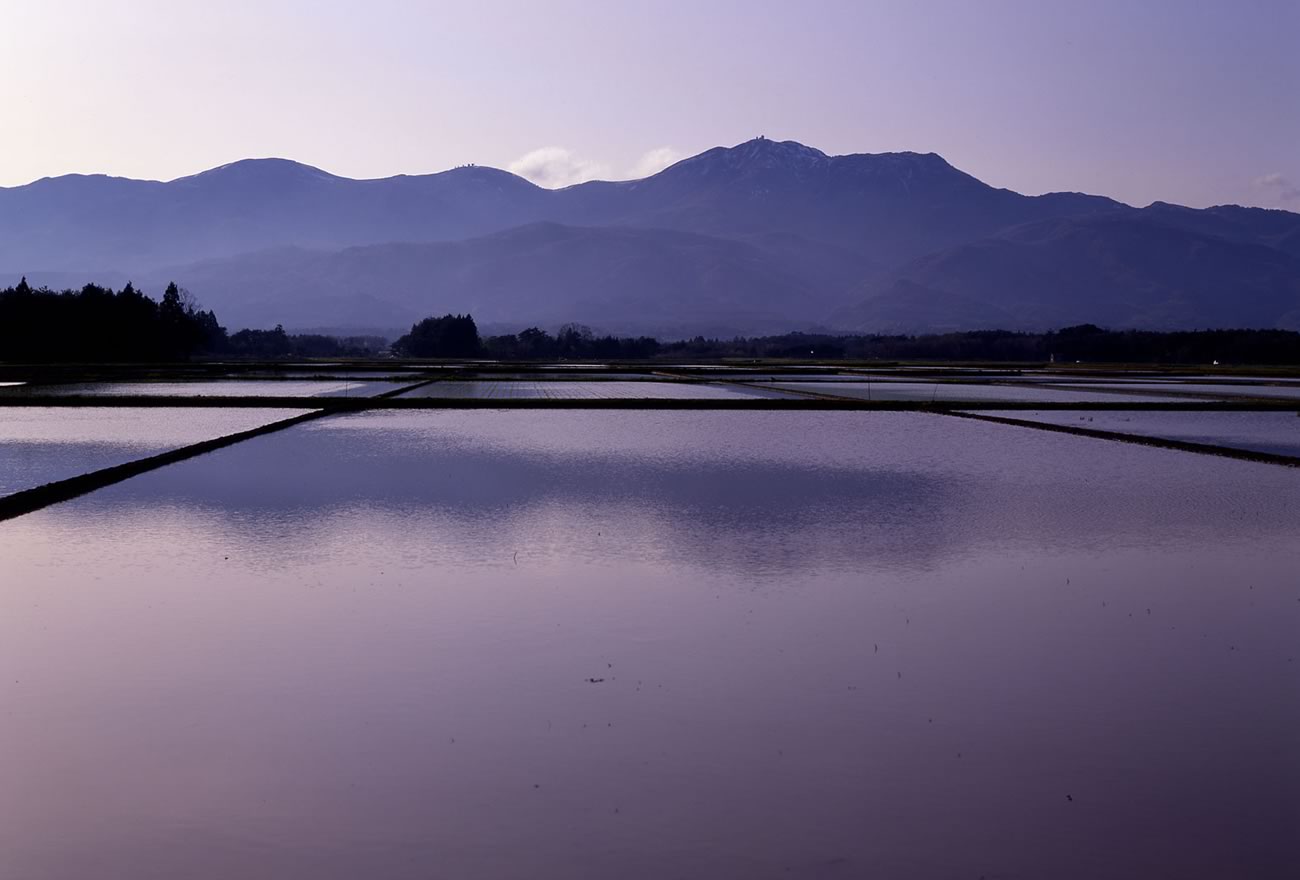 春の佐渡島の画像3