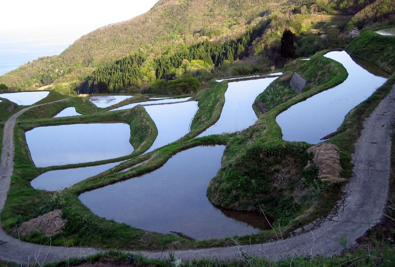 春の佐渡島の画像4