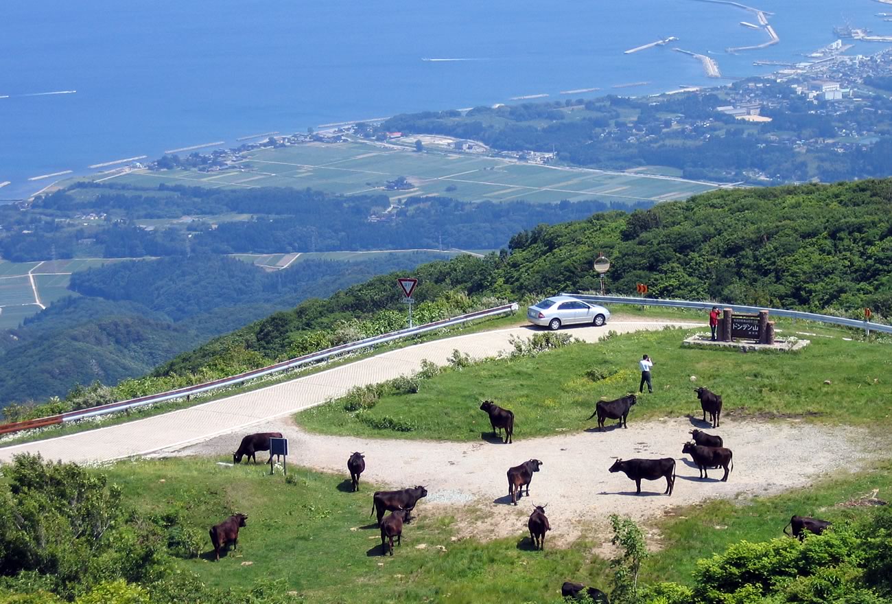 秋の佐渡島の画像23