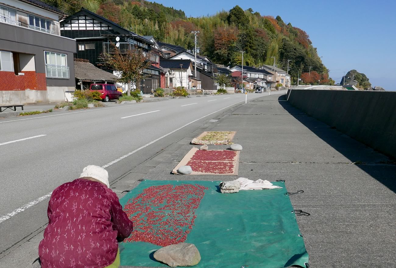 秋の佐渡島の画像26