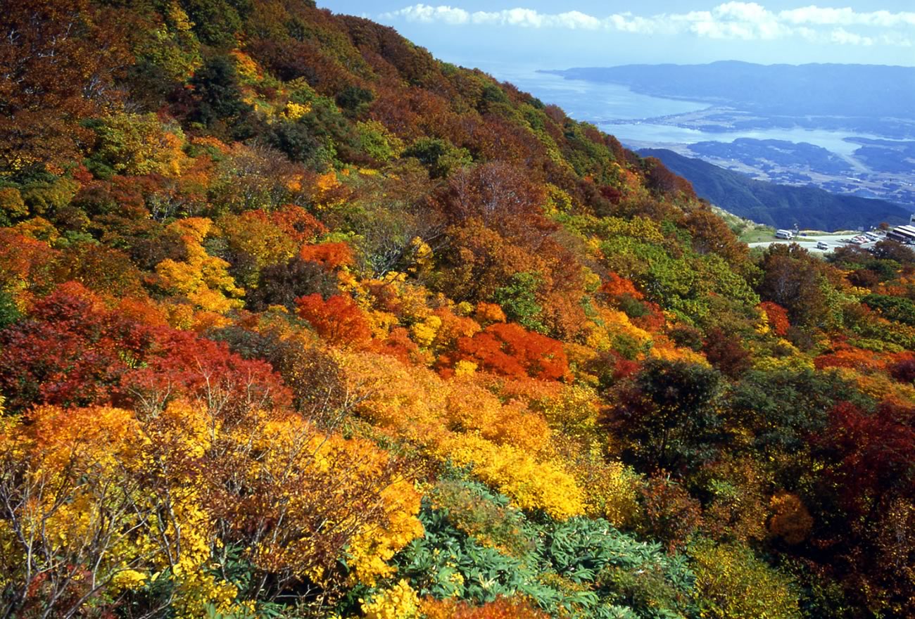 佐渡一周：里と山を歩くの画像25