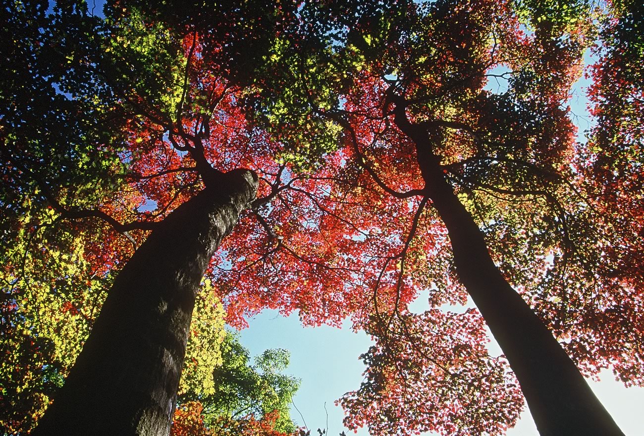 秋の佐渡島の画像32