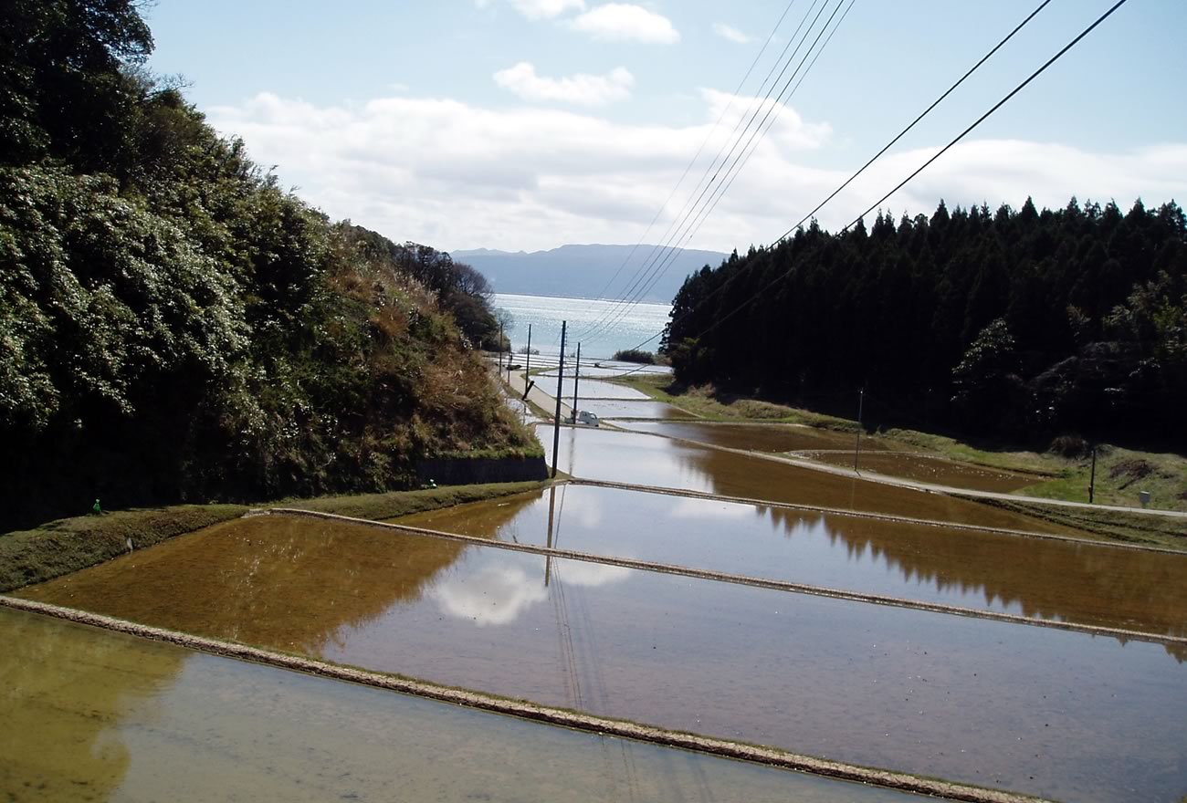 春の佐渡島の画像5