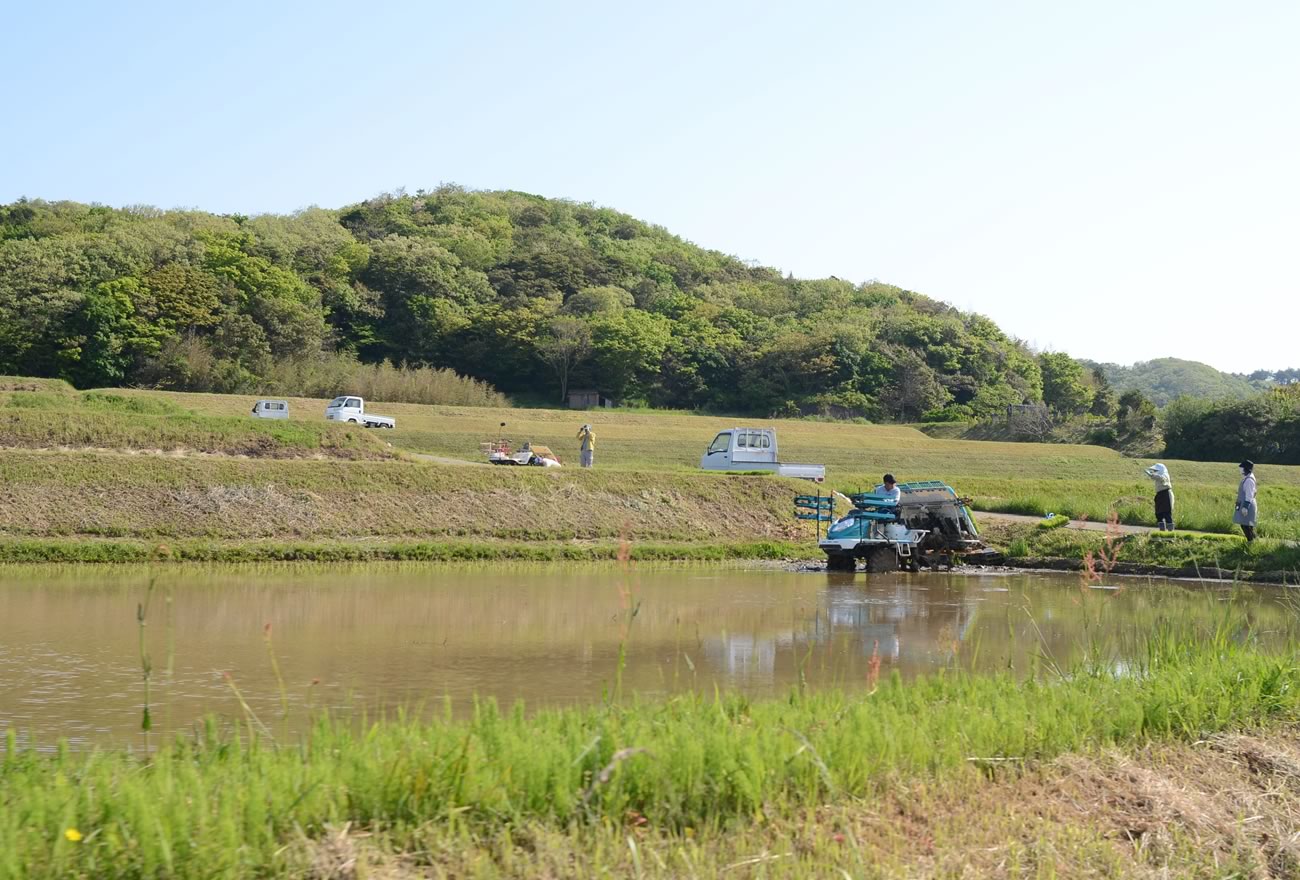 春の佐渡島の画像7