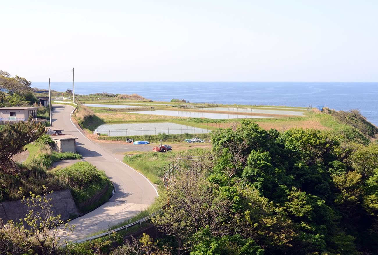 佐渡一周：海岸を行くの画像23