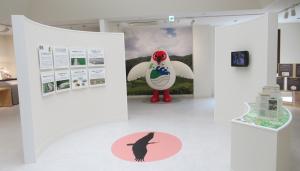 トキの森公園展示室の画像