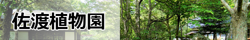 佐渡植物園の個別ページに飛ぶバナー画像