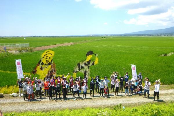 R3年田んぼアートの様子（7月24日）