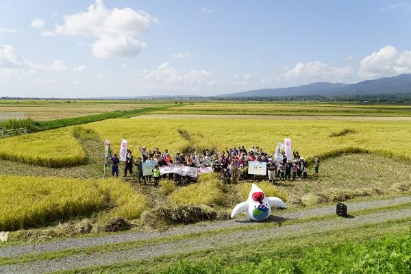 田んぼアート　令和3年10月2日の写真