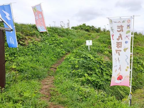 田んぼアート　登り口の写真