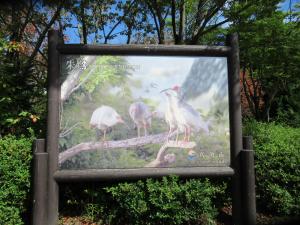 きれいになったトキの看板