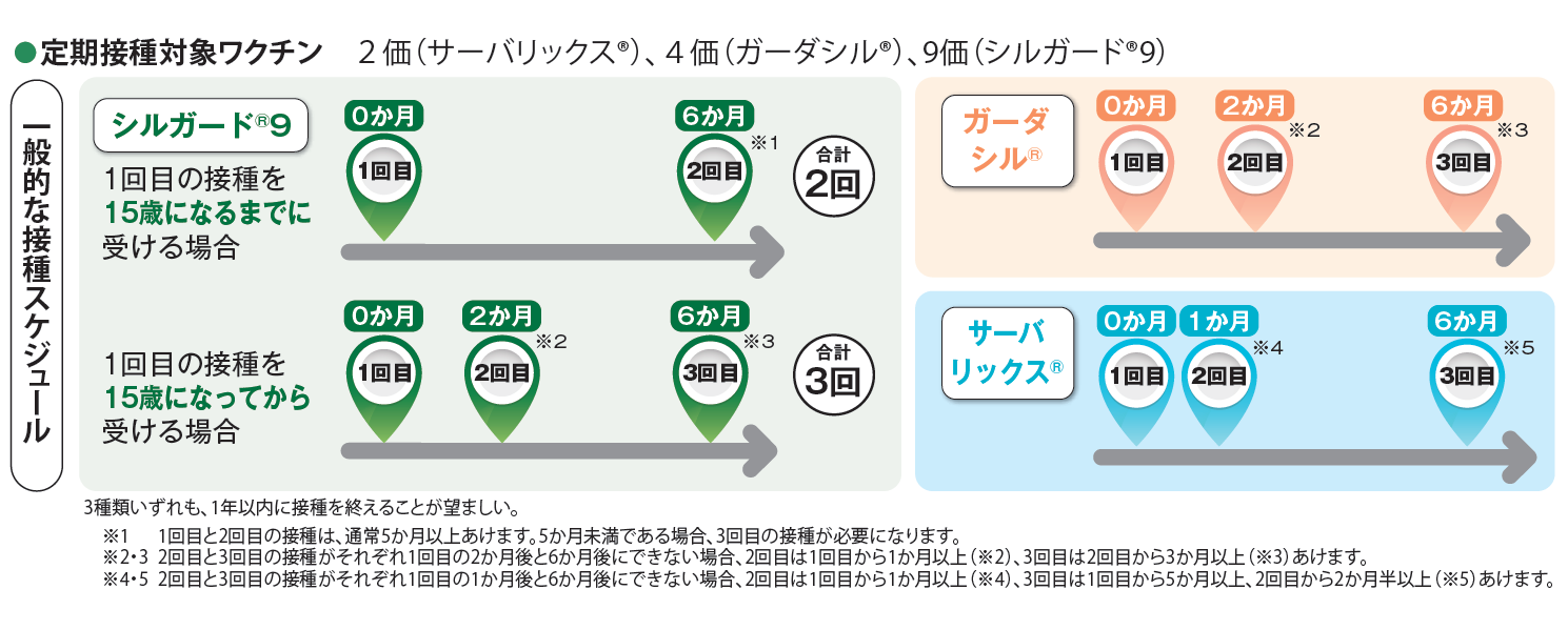 ワクチン別の接種間隔イメージ