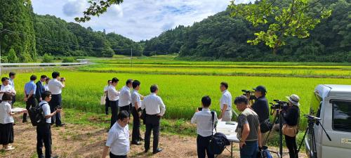 新潟・兵庫連携会議