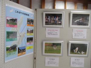 写真展３