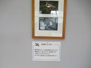 写真展８