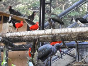 多摩動物公園