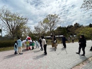 ツバメ①