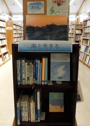 7月　中央　海