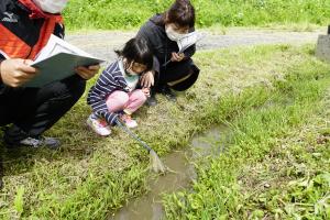 江の設置の生きもの調査写真