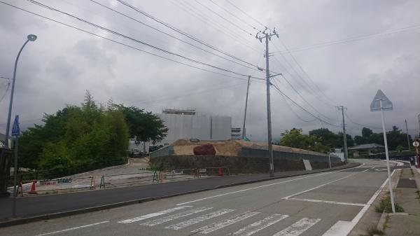 東側から撮った写真