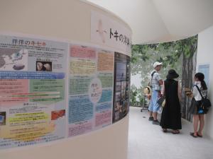 展示館にて