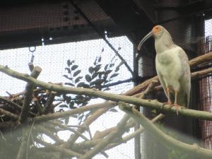 窓から