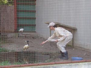 餌やり３