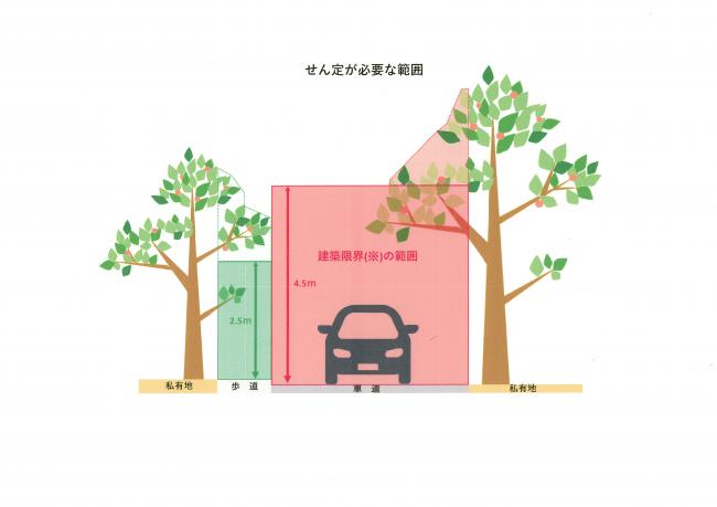 せん定が必要な範囲