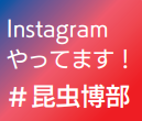 インスタやってます