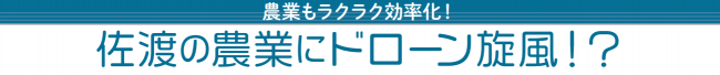 佐渡の農業にドローン旋風