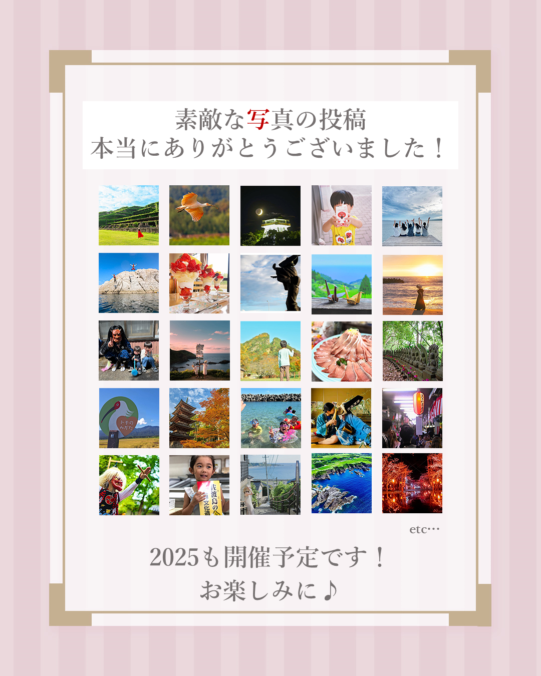 投稿作品