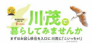 川茂で暮らしてみませんか