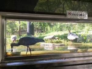 窓から