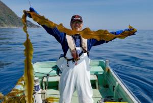 海藻プロジェクト