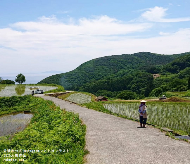岩首昇竜棚田