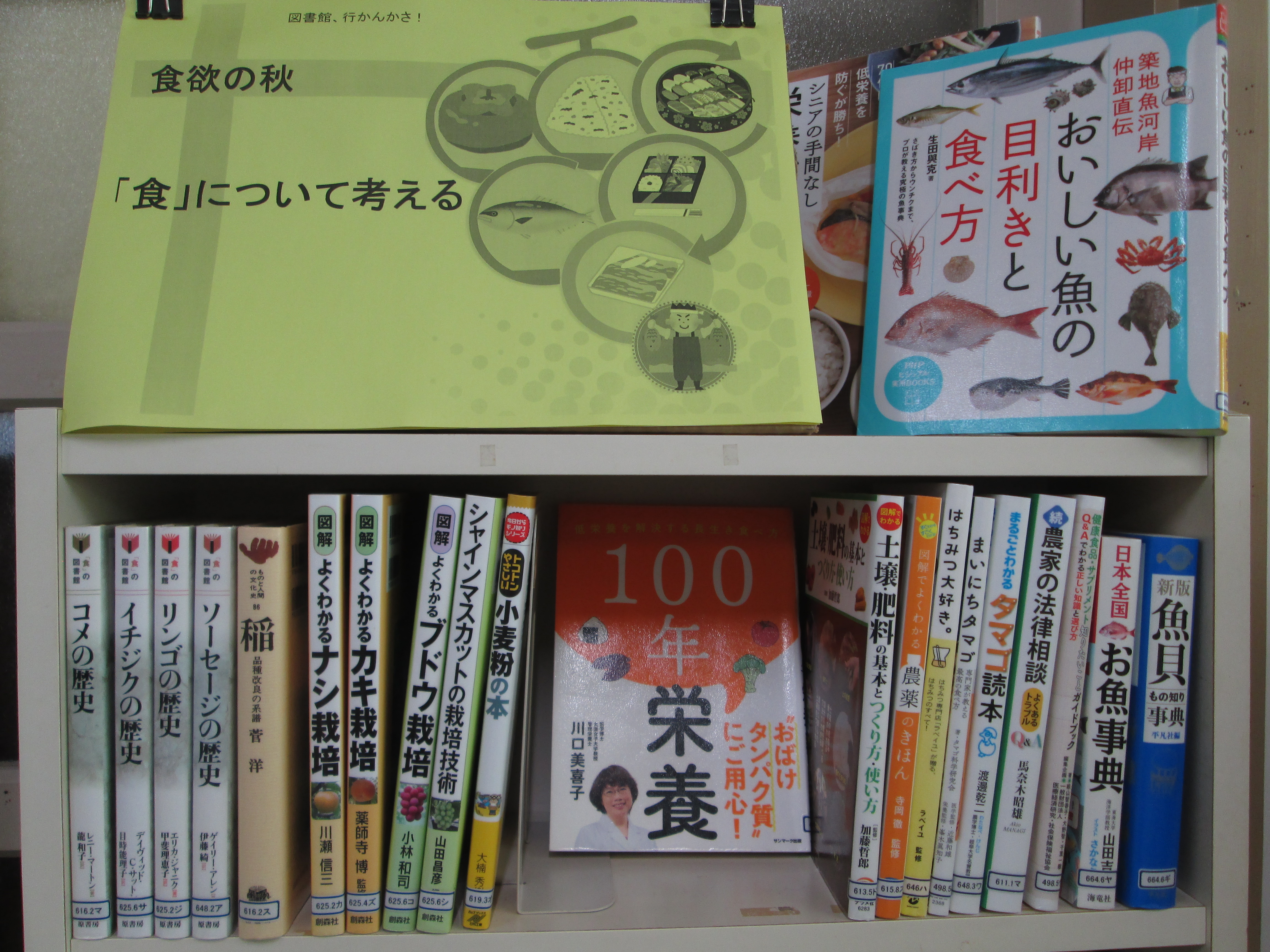 小木　展示