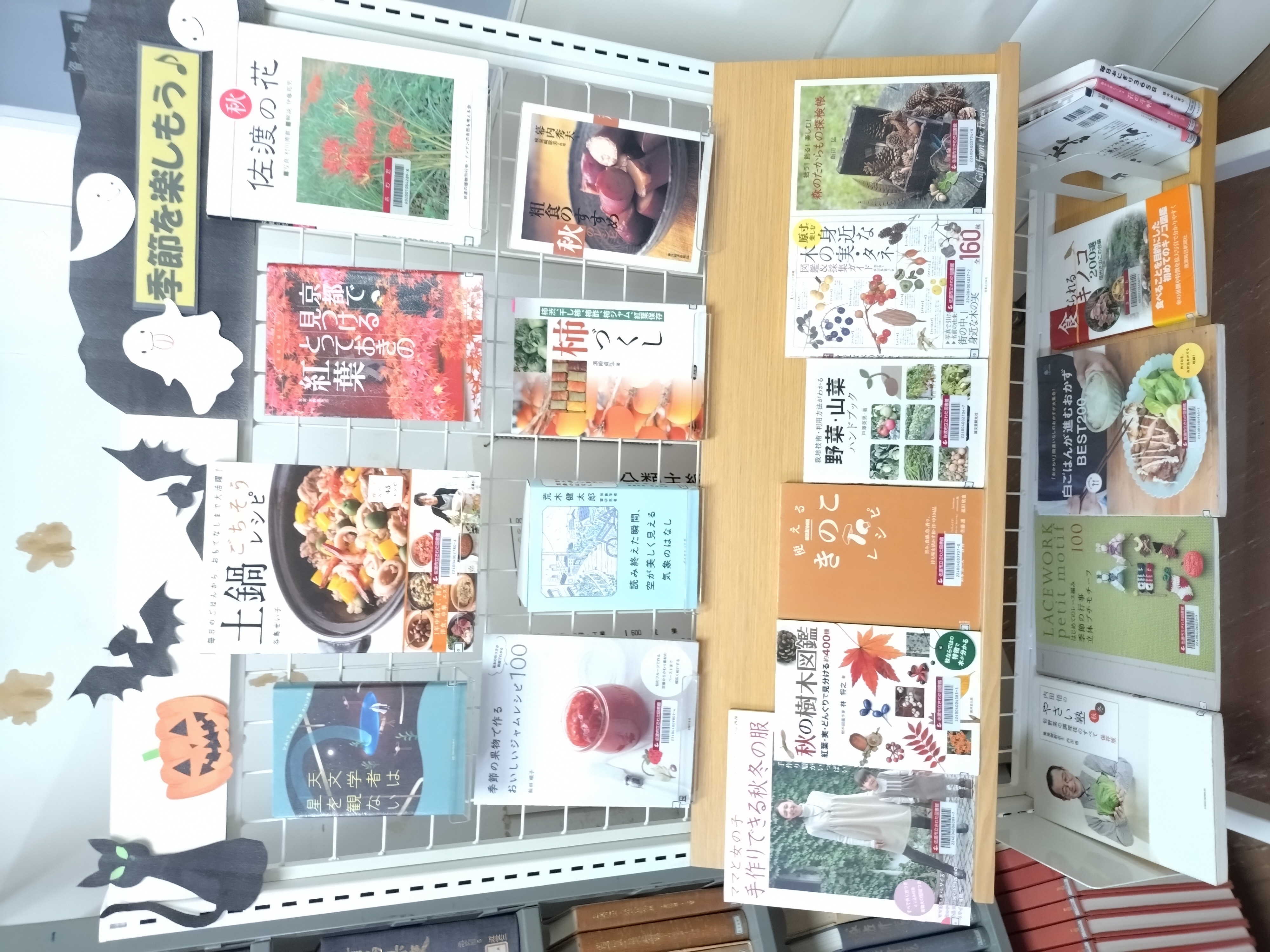 さわた　展示