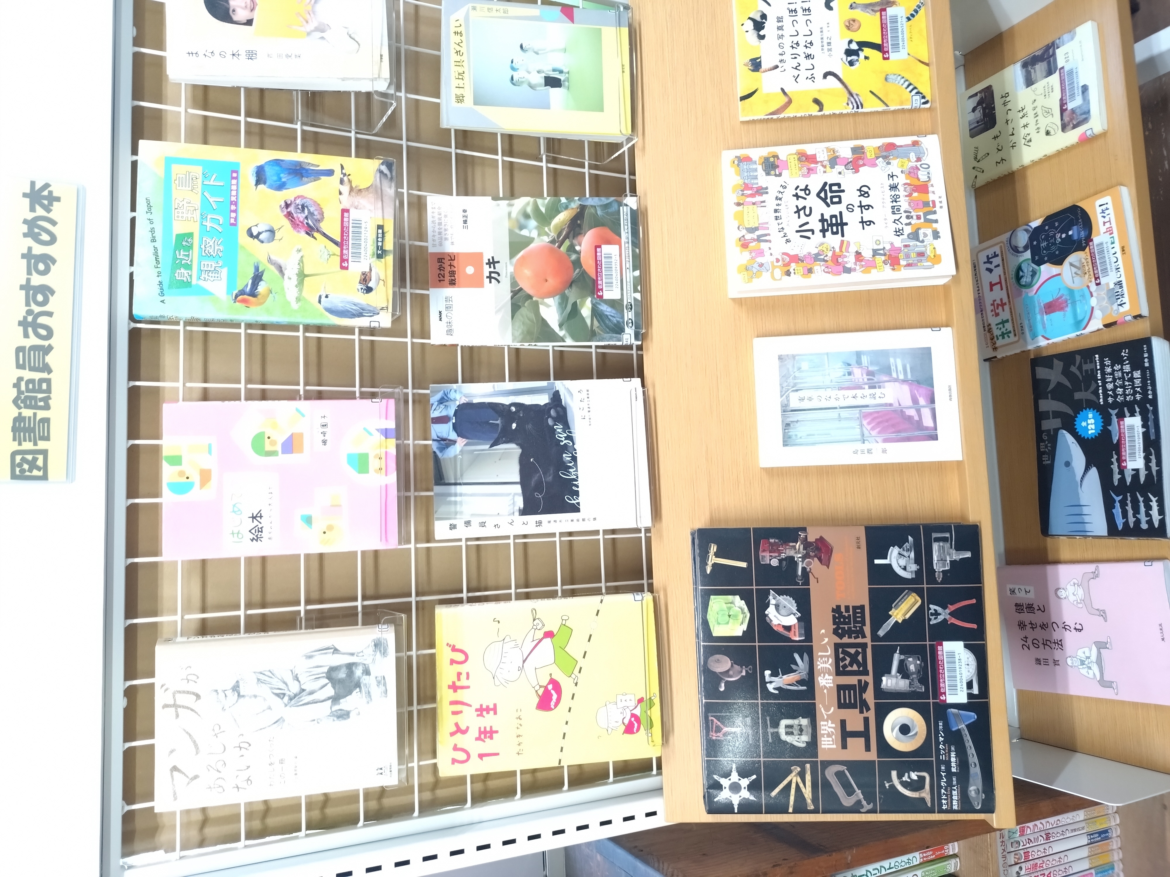 さわた　展示