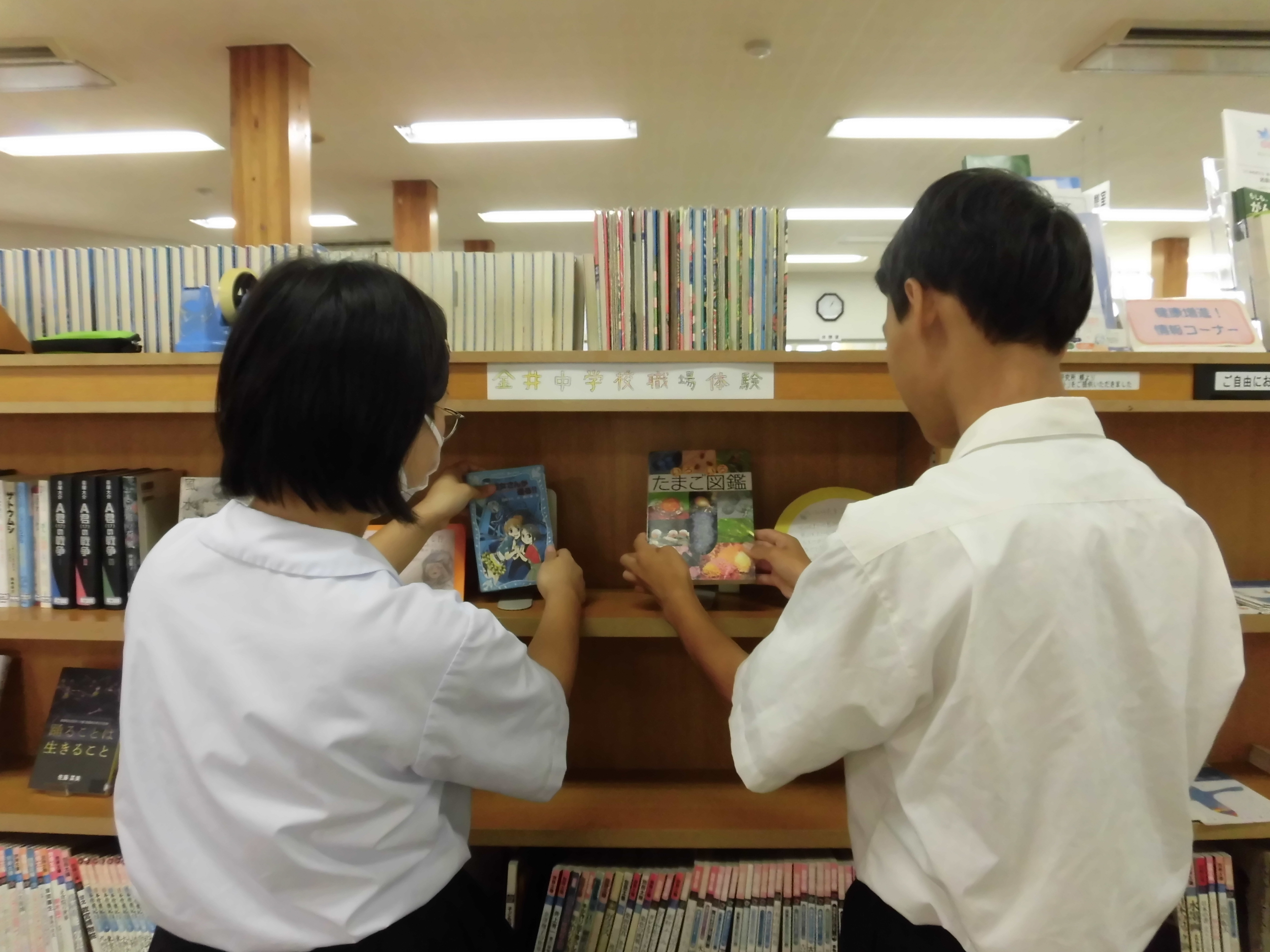 金井中