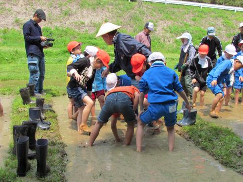 トキの餌場、ビオトープづくりの写真